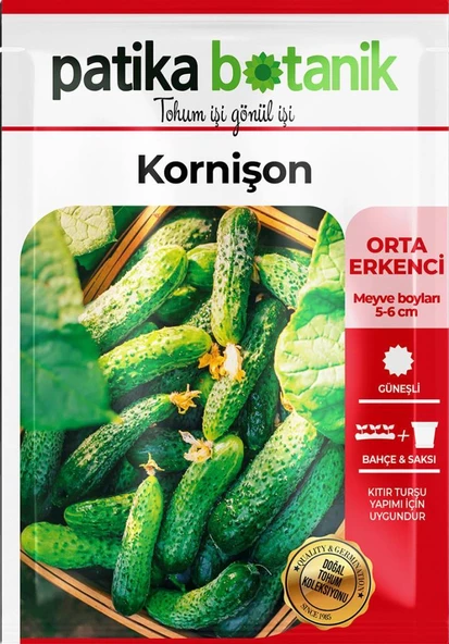 75 Adet Yerli Ata Kornişon (Turşuluk) Salatalık Tohumu - Resim 2