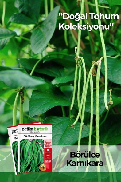 40 Adet Yerli Ata Börülce Tohumu ürün görseli