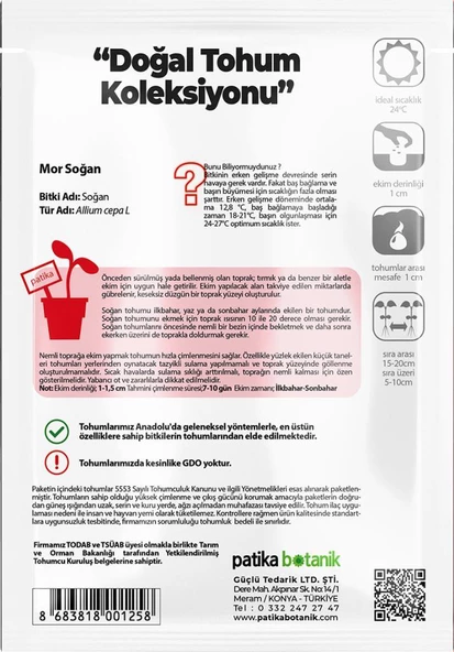 500 Adet Mor Soğan Tohumu - Resim 3