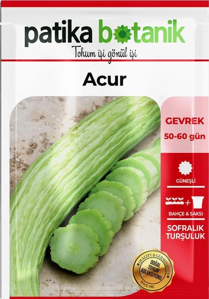 250 Adet Yerli Ata Acur Tohumu - Resim 2