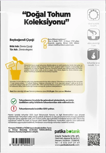 30 Adet Beybeğendi Çiçeği Tohumu - Resim 3