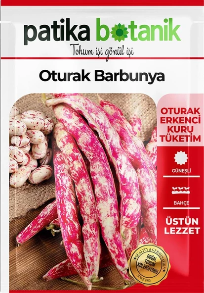 40 Adet Yerli Ata Oturak Barbunya Tohumu (Selim) - Resim 2