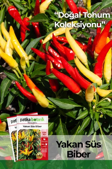 200 Adet Sarı Süs Biber Tohumu ürün görseli