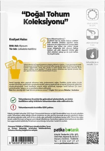 100 Adet Kraliyet Halısı Çiçek Tohumu - 3