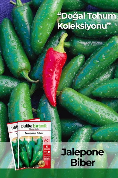 150 Adet Yerli Ata Jalapeno Biber Tohumu ürün görseli