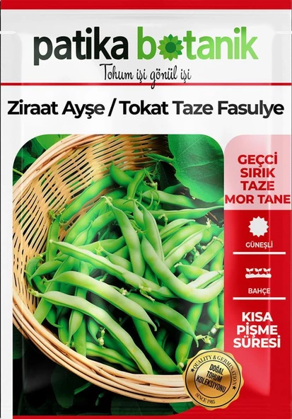 50 Adet Ziraat Ayşe Sırık Fasülye Tohumu - 2