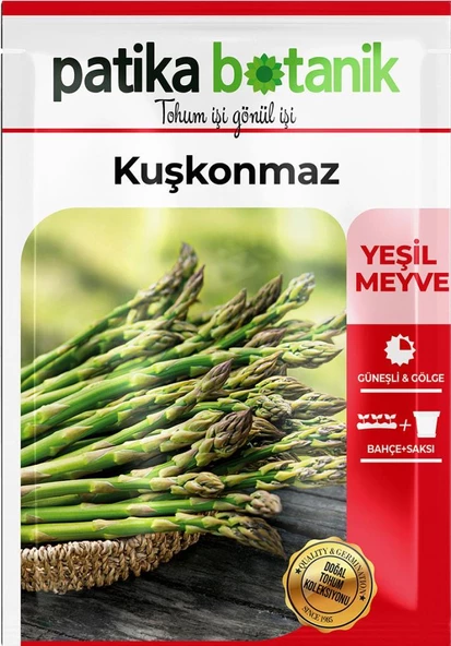 50 Adet Kuşkonmaz Tohumu - Yeşil Meyve - Resim 2