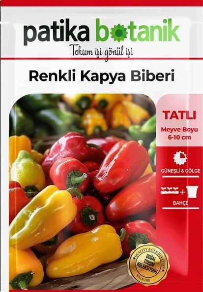 100 Adet Renkli Kapya Biber Tohumu - 2