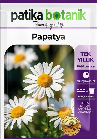 100 Adet Tıbbi Aromatik Papatya Tohumu - Resim 2