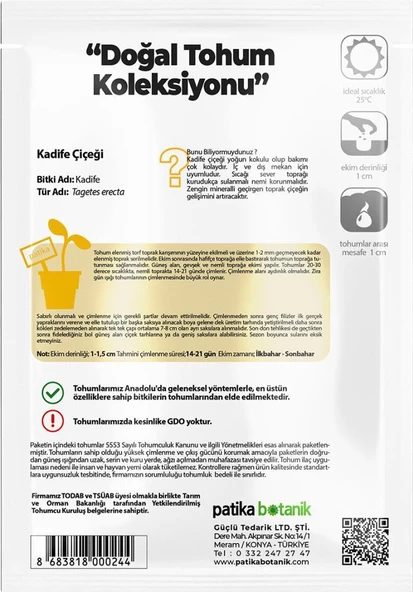50 Adet Bodur Kadife Çiçek Tohumu (Tagetes L.) - 3