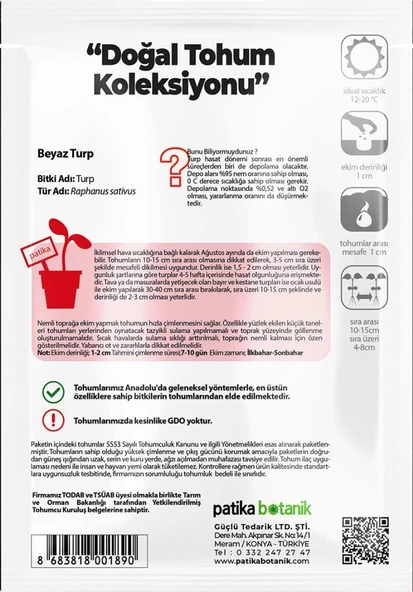 500 Adet Beyaz Turp Tohumu - Resim 3