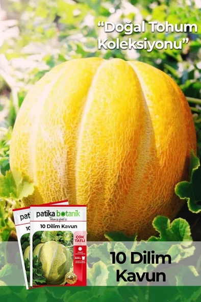 120 Adet Yerli Ata 10 Dilim Çorum Kavun Tohumu ürün görseli