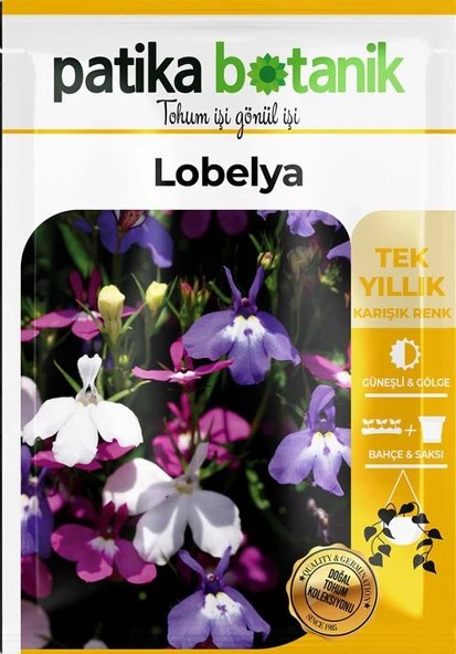 100 Adet Lobelya Çiçek Tohumu (Lobeliaerinus) - Resim 2