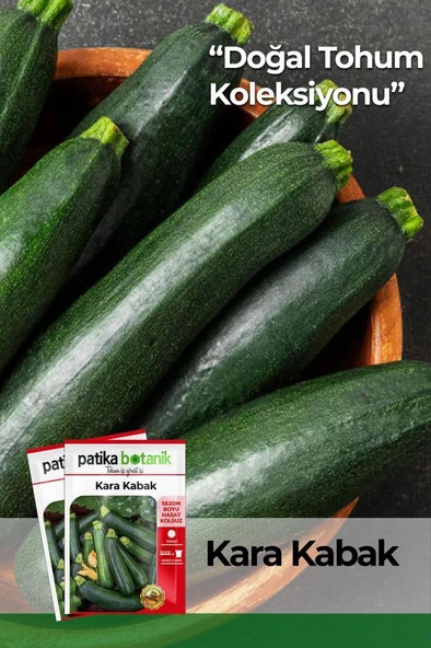 20 Adet Yerli Ata Kolsuz Kara Kabak Tohumu ürün görseli