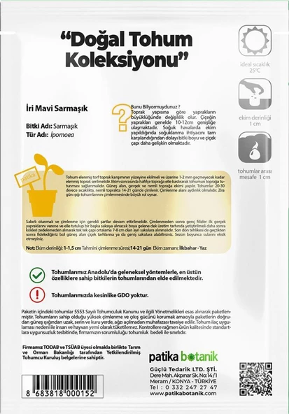 30 Adet İri Mavi Sarmaşık Çiçek Tohumu - 3