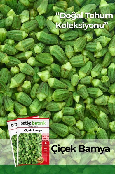 100 Adet Çiçek Bamya Tohumu ürün görseli