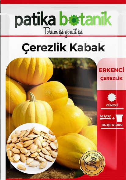 30 Adet Çerezlik Kabak Tohumu - Resim 2