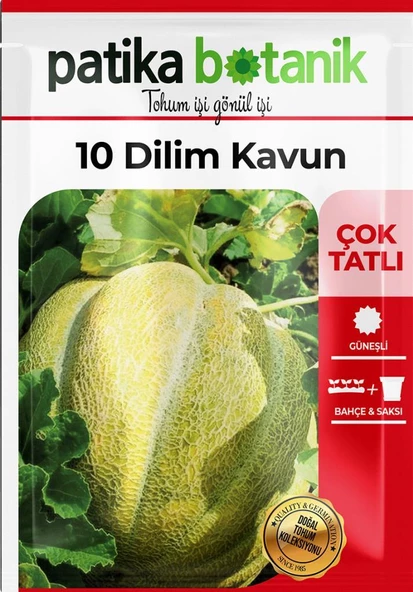 150 Adet 10 Dilim Çorum Kavun Tohumu - Resim 2