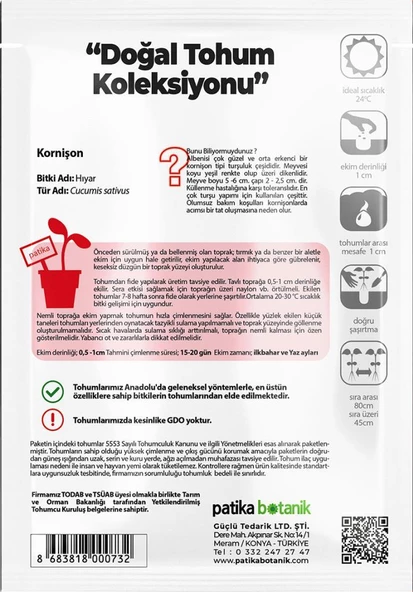 75 Adet Yerli Ata Kornişon (Turşuluk) Salatalık Tohumu - Resim 3