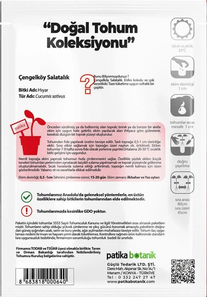120 Adet Yerli Ata Çengelköy Tipi Hıyar Tohumu - Resim 3