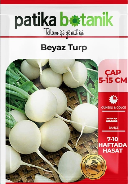 500 Adet Beyaz Turp Tohumu - Resim 2