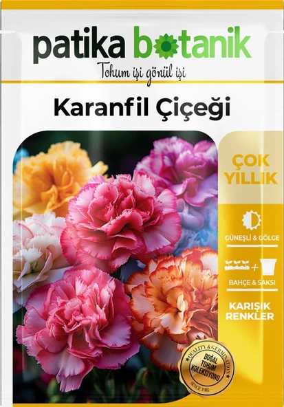 100 Adet Karanfil (DİANTHUS CARYOPHYLLUS) Çiçek Tohumu - Resim 2