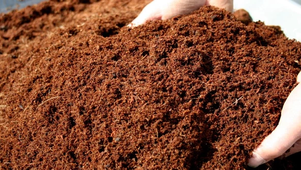 10 LT Cocopeat-Hindistan Cevizi Torfu