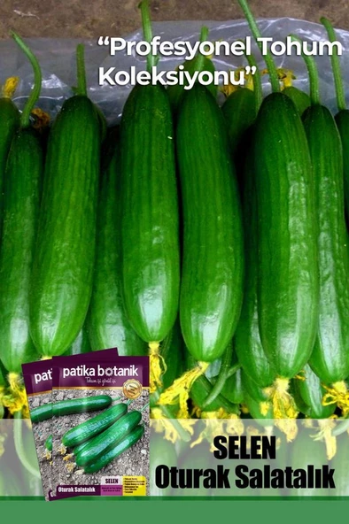 10 Adet Se*len Salatalık Tohumu ( Erkenci, Dişi Çiçek) - 1