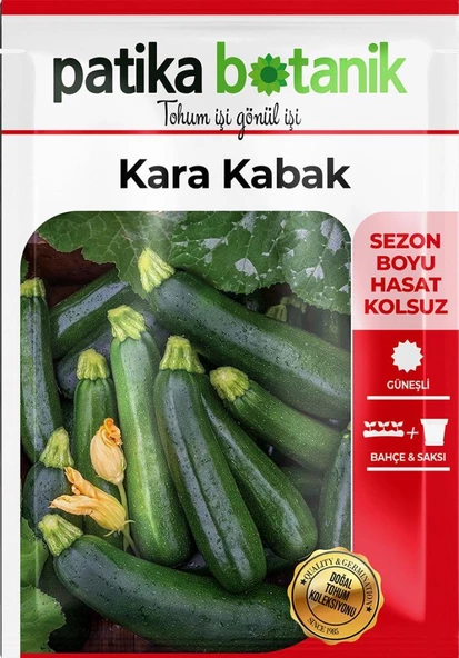 25 Adet Kolsuz Kara Kabak Tohumu - Resim 2