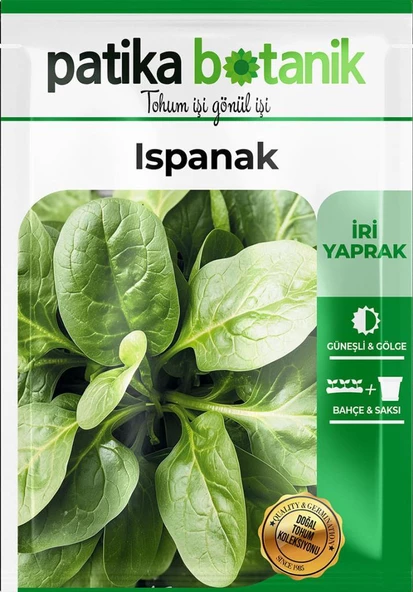 250 Adet Yerli Ispanak Tohumu (Geniş Yaprak) - Resim 2