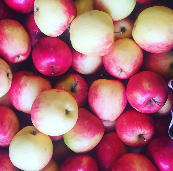 ERZİNCAN SAKKI ELMA 2 KG