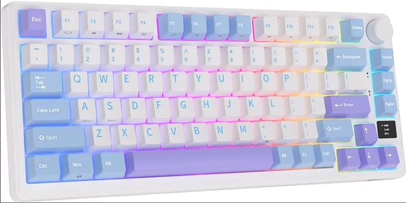 Royal Kludge M75 Beyaz/Mavi 75% Kablosuz US Gaming Mekanik Klavye (Beyaz-Mavi) - 5