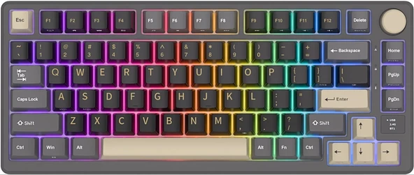 Royal Kludge M75 Siyah/Gold 75% Kablosuz US Gaming Mekanik Klavye (Siyah-Gri) - 3