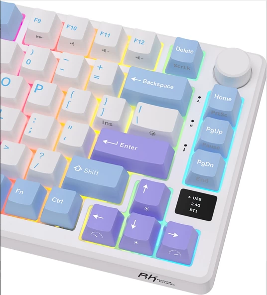 Royal Kludge M75 Beyaz/Mavi 75% Kablosuz US Gaming Mekanik Klavye (Beyaz-Mavi) - 3