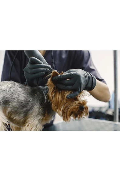 Pazariz Kedi Köpek Şarjlı Tıraş Makinesi Y5 Profesyonel Pet Tıraş Makinesi - 3