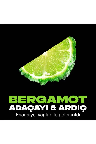 Axe Premium Collection Erkek Sprey Deodorant Aqua Bergamot 72 Saat Ferahlık 150 ml - 5