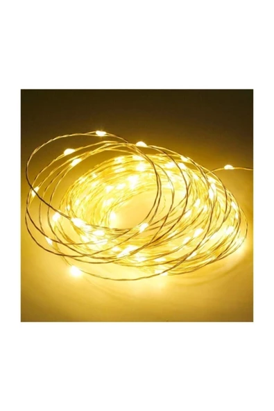 Pazariz Peri Led Ince Tel Pilli Dekoratif Led Işık Süs 3 M ürün görseli 1