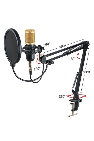 Pazariz Profesyonel Kayıt Stüdyosu Ses Kayıt Harici Canlı Amfili Mikrofon Ses Kartı Mikrofon - Resim 3
