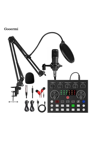 Pazariz Profesyonel Kayıt Stüdyosu Ses Kayıt Harici Canlı Amfili Mikrofon Ses Kartı Mikrofon - Resim 2