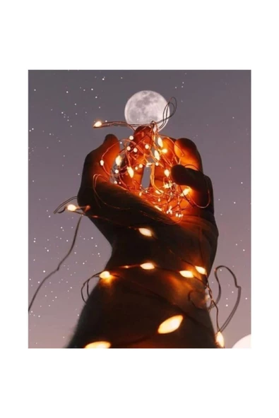 Pazariz 3mt Peri Rgb 30 Led Pilli Noel Parti Yılbaşı Ağaç Dekoratif Aydınlatma Lambası Animasyonlu Süsleme - Resim 2