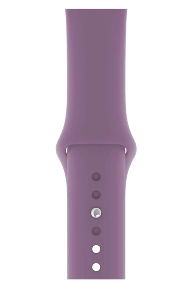 Pazariz Watch Uyumlu 2 3 4 5 6 7 Se Delikli 42 44 45mm Kalite Kordon Kayış Bileklik Klasik Silikon ürün görseli 1