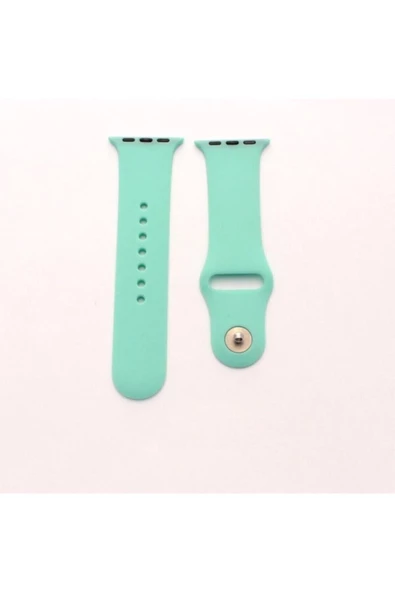 Pazariz Apple Watch Uyumlu Uyumlu Kayış Seri 7 - 6 - Se - 5 - 4 - 3 - 2 - 1 42 Mm 44mm Açık Yeşil - Resim 2