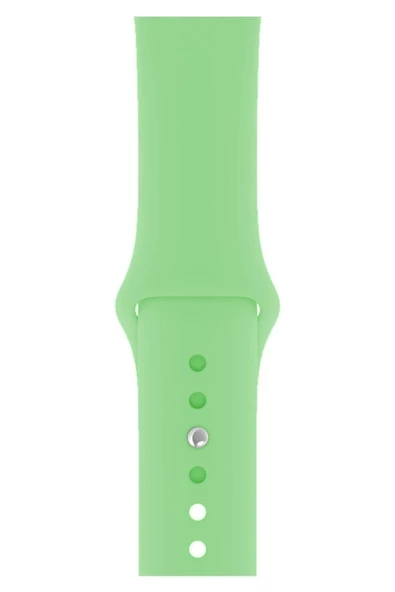 Pazariz Apple Watch Uyumlukordon 2 3 4 5 38 Mm 40 Mm Açık Yeşil - Resim 3