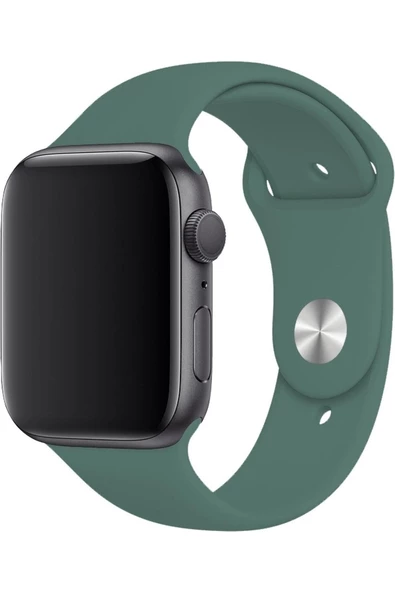 Pazariz Apple Watch Uyumlu1/2/3/4/5/6/7/8/se/ultra 38mm 40mm 41mm 42mm 44mm 45mm 49mm Kordon Kayış - 2