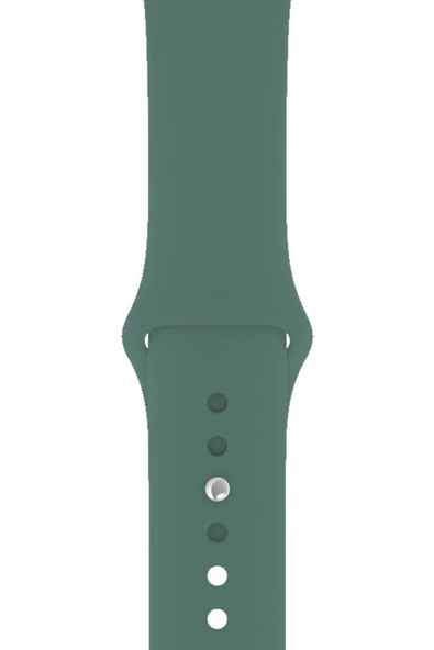 Pazariz Apple Watch Uyumlu1/2/3/4/5/6/7/8/se/ultra 38mm 40mm 41mm 42mm 44mm 45mm 49mm Kordon Kayış - 1