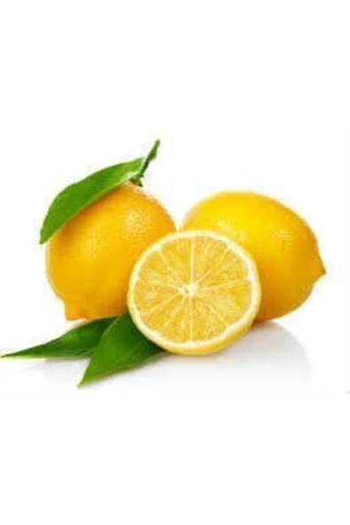 Pazariz Limon Bonesi / Bitki Çayı Bonesi 100 Adet - Resim 2