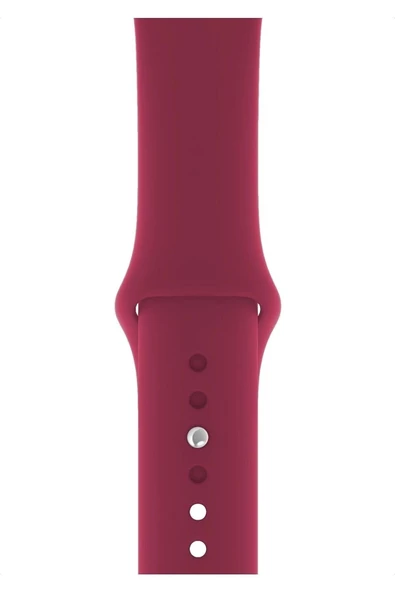 Pazariz Apple Watch Uyumlu 3 4 5 6 7 8 Se Delikli 38 40 41mm Spor Slikon Kordon Kayış Bileklik ürün görseli 1