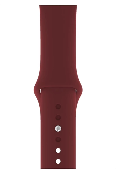 Pazariz Apple Watch Uyumlu 3 4 5 6 7 8 Se Delikli 38 40 41mm Spor Slikon Kordon Kayış Bileklik
