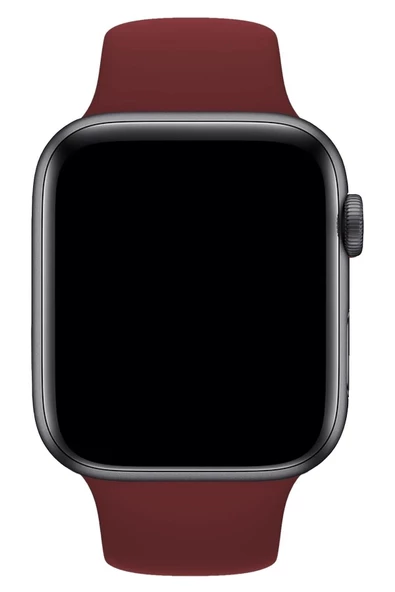 Pazariz Apple Watch Uyumlu 3 4 5 6 7 8 Se Delikli 38 40 41mm Spor Slikon Kordon Kayış Bileklik - 2