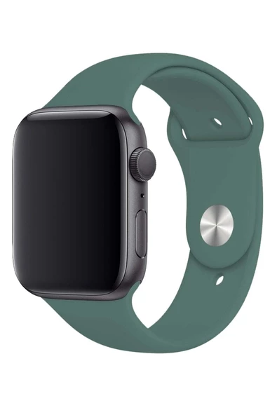 Pazariz Apple Watch Uyumlu 3 4 5 6 7 8 Se Delikli 38 40 41mm Kordon Kayış Bileklik Klasik Silikon - Resim 2